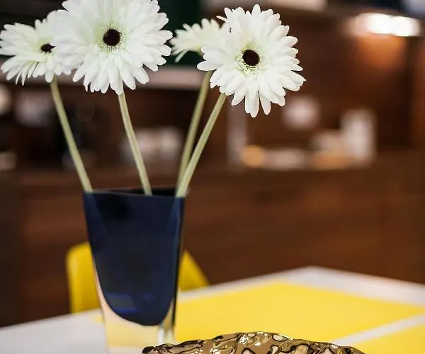 Apartman Vintage Senacka