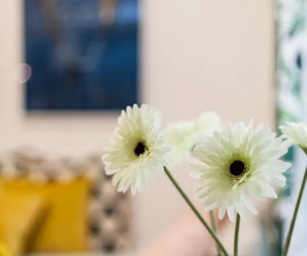 아파트 Vintage Senacka *